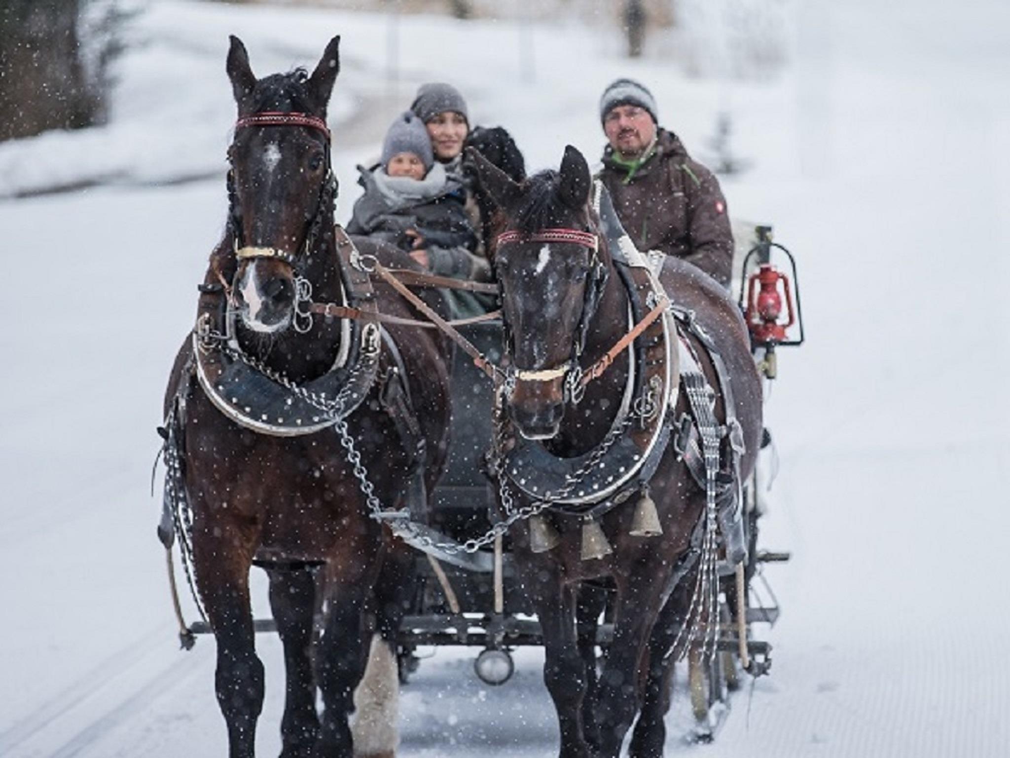 Horse-drawn sleigh rides Schretter in Lermoos