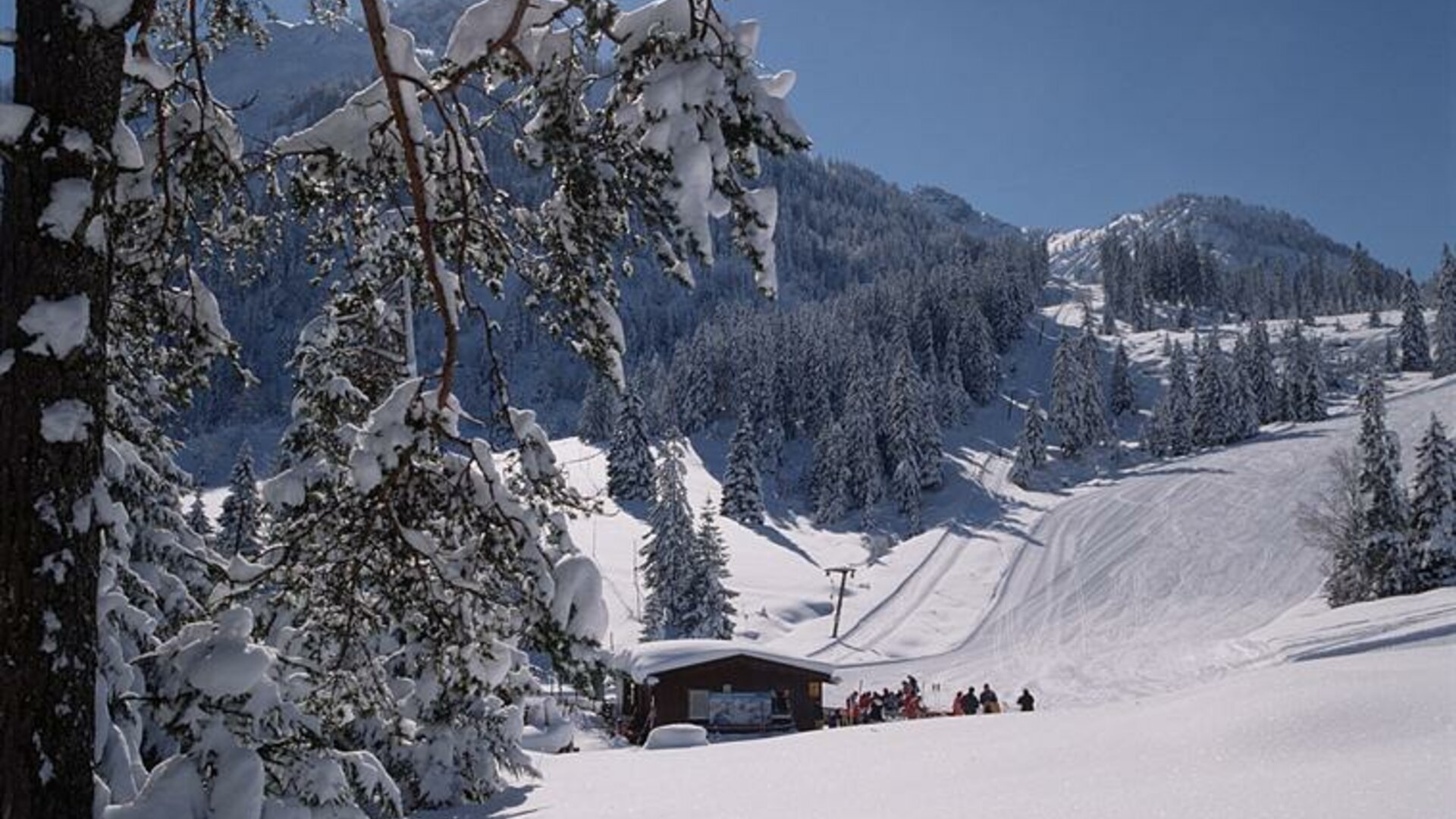 Skigebiet Berwang/Bichlbach/Heiterwang In Berwang