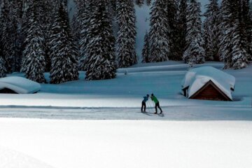 Langlaufloipe Ehrwalder Alm | Ehrwald | © Tiroler Zugspitz Arena