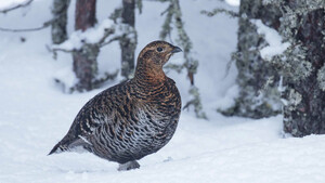 Awareness im Winterurlaub | © unbekannt