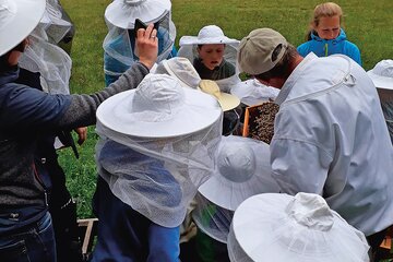 Bienenlehrpfad Grainau | Kreisbildungswerk  | © Kreisbildungswerk 